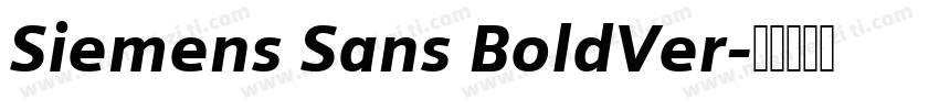 Siemens Sans BoldVer字体转换